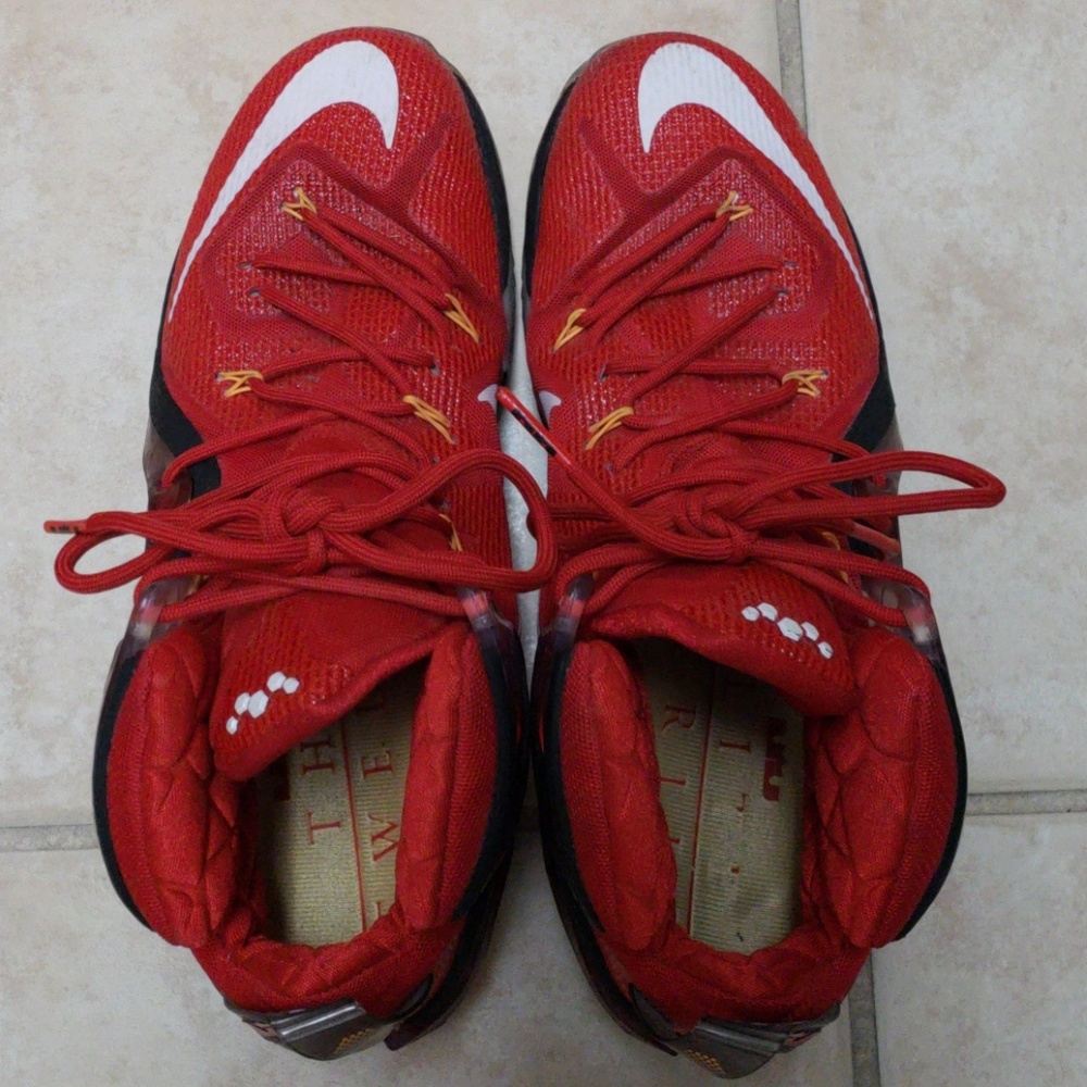 Nike Lebron XII Elite Team Sneaker